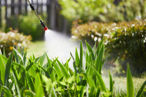 24/7 Emergency Mosquito Control experts in Bel-Ridge, MO